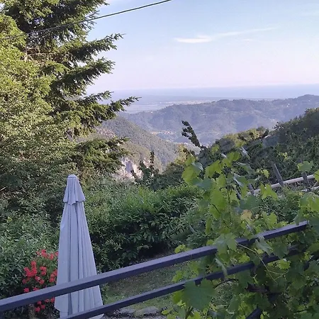 Gemuetliches In Mit Garten, Terrasse Und Grill Prázdninový dům Camaiore